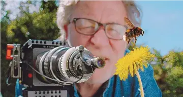  ?? MARTIN DOHRN/PASSION PLANET ?? Martin Dohrn filming a bumble bee hovering over a dandelion.