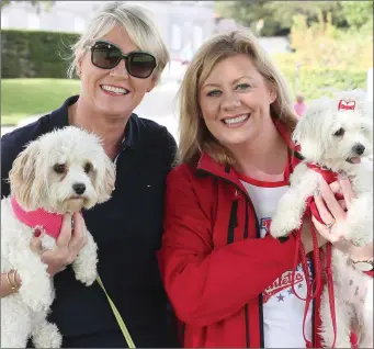  ??  ?? Pauline Lannon with her sister Julie Plunkett taking their dogs MIllie and Teddy for a walk at Oldbridge where the Irish Guide Dogs held a fundraiser
