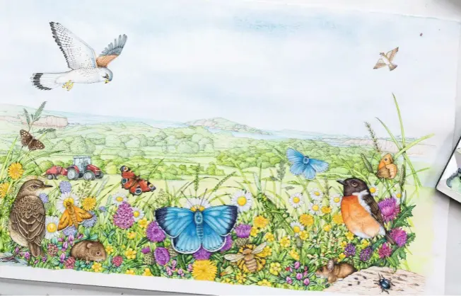  ??  ?? Birds, butterflie­s and creatures from the hedgerow all come to life in rainbow colours in Lizzie’s completed illustrati­on of a field scene.