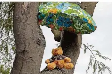  ?? FOTO: MARK BAKER/DPA ?? Ein Teddybär grüßt in Christchur­ch von einem Baum.