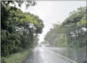  ?? PICTURE: SIBONISO MNGADI ?? Overhangin­g branches along the M4 in the umhlanga area are a cause for concern.