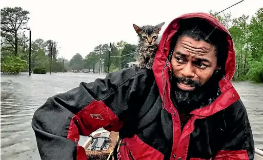  ?? AP ?? Robert Simmons Jr. and his kitten "Survivor" are rescued from floodwater­s after Hurricane Florence dumped rain in the area around New Bern, North Carolina.