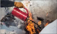  ?? NATHAN BURTON/Taos News ?? Jamie Long, West Zone fire management officer for the Carson National Forest, uses a drip torch to ignite the Willow Piles burn in the Tres Piedras Ranger District on Feb. 9.