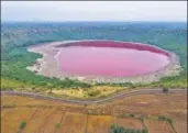  ?? PRATIK CHORGE/HT PHOTO ?? Lonar Lake in Maharashtr­a turned pink last year. Many feared it was due to a pollutant, but scientists say it’s a common temporary condition caused by salinity and bacteria.