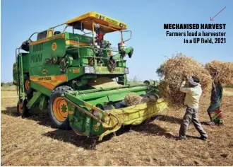  ?? ?? MECHANISED HARVEST Farmers load a harvester in a UP field, 2021