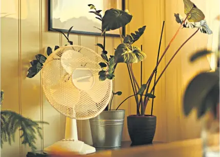  ?? ?? Forecasts for a period of warmer weather has produced a run on sales of fans after the devices became scarce in many stores during last year’s heatwave