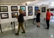  ??  ?? Les photograph­es de cinq clubs locaux exposent leurs travaux dans la galerie du Forum.