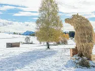  ?? (Ansa/Pretto) ?? Sulla neve
L’opera di Landart realizzata da Francesco Avancini «Franz» diventa l’immagine e la mascotte del Monte Bondone Green Festival.