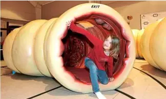  ??  ?? a 12m-long informatio­nal model of a colon that young and old can crawl through.