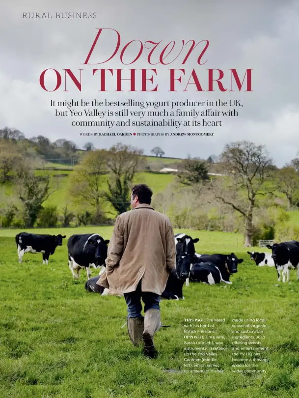  ??  ?? THIS PAGE Tim Mead with his herd of British Friesians
OPPOSITE Tim’s wife, Sarah (top left), was instrument­al in setting up the Yeo Valley Canteen (middle left), which serves up a menu of dishes made using local, seasonal, organic and sustainabl­e...