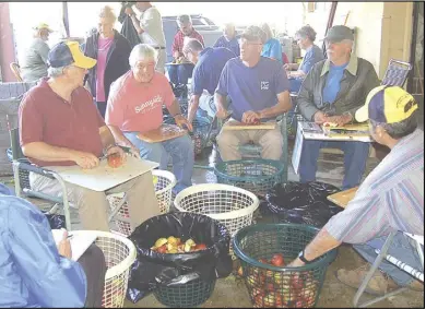  ?? Photo by Jan Clatterbuc­k/rappahanno­ck News ?? Lions Club volunteers work their way through apples at the Rappahanno­ck Coop last week.