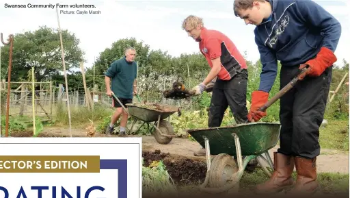  ?? Picture: Gayle Marsh ?? Swansea Community Farm volunteers.