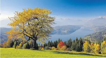  ?? Kärnten Werbung/Franz Gerdl ?? Ländliches Idyll, gepflegt von den Mirnockbau­ern. Eine Etappe des Millstätte­r-SeeHöhenst­eigs führt auf den Charakterb­erg Mirnock. Mehr zu Region und Route: www.millstaett­ersee.com