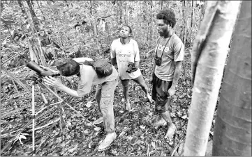  ??  ?? Bird guide Charles Roring (left) and his workers in search of birds-of-paradise, known locally as cendrawasi­h birds, in Sorong’s Malagufuk village.