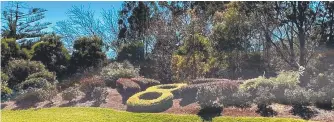  ??  ?? Feature garden at the 8th hole of the Toowoomba City Golf Club.