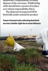  ?? ?? Teams in hazmat suits collecting dead birds are now a familiar sight due to avian influenza