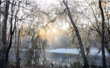  ?? PATRICK CONNOLLY/ORLANDO SENTINEL PHOTOS ?? The sun rises over the Suwannee River at Spirit of the Suwannee Music Park and Campground in Live Oak.