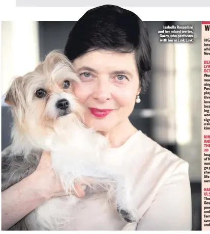  ??  ?? Isabella Rossellini and her mixed terrier, Darcy, who performs with her in Link Link