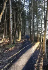  ??  ?? Knocknarea trail has proven to be very popular