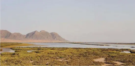  ?? Foto: Archiv ?? Das EU-Programm fördert in Naturschut­zgebieten am Mittelmeer einen ökologisch verträglic­hen Fremdenver­kehr.