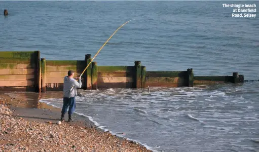  ??  ?? The shingle beach at Danefield Road, Selsey