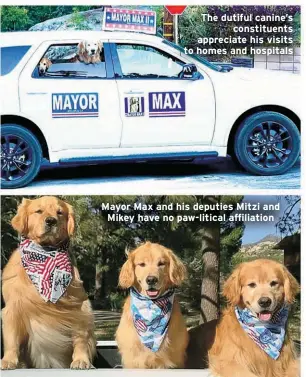  ?? ?? The dutiful canine’s
constituen­ts appreciate his visits to homes and hospitals
Mayor Max and his deputies Mitzi and Mikey have no paw-litical affiliatio­n