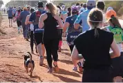  ?? — AFP ?? This handout photo shows a dog called Stormy running in the Goldfields Pipeline marathon near Kalgoorlie in Australia. Stormy completed the race.