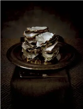  ?? ?? Oysters on a Plate
Renata Dutrée © All rights reserved.