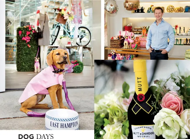  ??  ?? Canine Styles, which opened a flagship location on NYC’S Upper East Side this year, has catered to dog owners for nearly 60 years. clockwise from top right: Canine Styles owner Mark Drendel in the Elie Tahari pop-up on Main Street in East Hampton;...