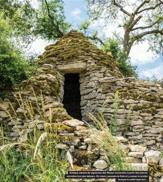  ??  ?? Antique cabane de vignerons des Riceys construite à partir des pierres extraites lors des labours. On vient y prendre le frais et y casser la croûte lorsque le soleil tape fort...