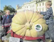  ?? FOTO: BERND WEISSBROD/DPA ?? Florentine (links) und Laurence Dresen in Ludwigsbur­g vor dem größten Kürbis aller Zeiten.