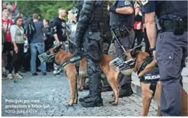  ?? FOTO: JURE ERŽEN ?? Policijski psi med protestom v Trbovljah