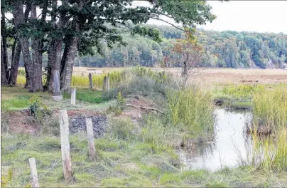  ?? ERIC WYNNE/CHRONICLE HERALD ?? Randy Barkhouse and others have been shoring up the cemetery against the rising waters by building dykes and barriers.