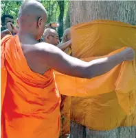  ??  ?? A monk drapes a saffron coloured robe on a tree