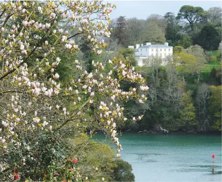  ??  ?? Above: A glimpse of Agatha Christie’s Greenway across the river. Right: Bridget Mccrum at work