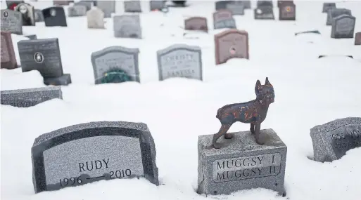  ?? SETH WENIG THE ASSOCIATED PRESS ?? Hartsdale Pet Cemetery, in Hartsdale, N.Y., and founded in 1896, is the oldest continuall­y operating pet cemetery in the United States.