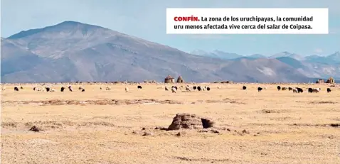  ?? ?? La zona de los uruchipaya­s, la comunidad uru menos afectada vive cerca del salar de Coipasa.