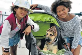  ?? Picture: EUGENE COETZEE ?? OUR FUR-BABY: Amber-Rose Roth Uren and Lauren-Lee Roth Uren pose with their nine-week old rescue puppy Gabby-Bear at the 5150 Triathlon at Kings Beach on Sunday