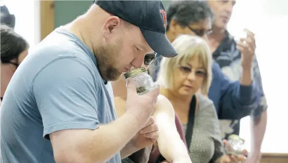  ?? Ted S. Warren/the ass ociated press ?? A customer, who declined to give his name, sniffs a strain of recreation­al marijuana at Top Shelf Cannabis in Bellingham, Wash., on Tuesday.