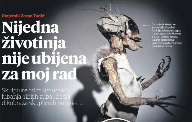  ??  ?? Samo jezik skulpture Korporativ­ni kanibal fosilni je zub morskog psa nađen u pustinji u Maroku, a tu su i kandže sokola, lubanja dobermana iskorišten­a za torzo, koralj s Kariba na očima...