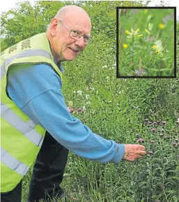  ?? Picture: Dougie Nicolson. ?? A proud Ian Ford with the flower, inset.