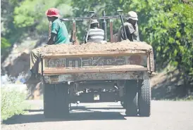  ??  ?? PAYLOAD: Kgamokgelo Mokgotho, Motala Mogabe and Pieter Sekgobela head towards the village with another load of sand from the banks and bed of the Olifants River