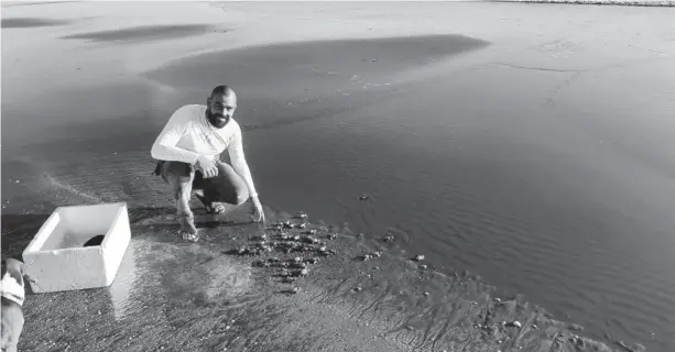  ??  ?? Víctor Landey ha liberado miles de crías de tortuga en playa Las Glorias.