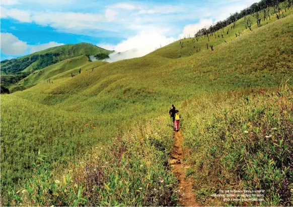  ??  ?? The trek to Dzukou Valley is a test of endurance; (below) on reaching the valley, pitch a tent at a convenient spot.