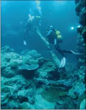  ??  ?? Lors de l’expédition de l’Associatio­n Salomon en 2005, les plongeurs fouillent le site de la Boussole, le navire du commandant La Pérouse.