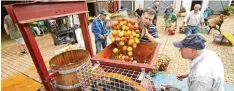  ?? Foto: Wieser ?? Apfelsaft aus der historisch­en Obstpresse: Der Obst und Gartenbauv­erein Leipheim und das Team der „Blauen Ente“machten im Schlosshof wieder Apfelsaft.