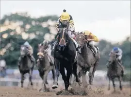  ?? Focus On Sport / Getty Images ?? JEAN CRUGUET GUIDES Seattle Slew to a four-length win in the 1977 Belmont Stakes, the colt improving to 9-0 before suffering a loss at Hollywood Park.