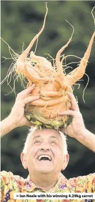  ??  ?? &gt; Ian Neale with his winning 4.29kg carrot