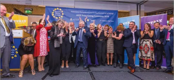  ??  ?? Members of Inistioge’s Entente Florale committee celebratin­g as their big win is announced.