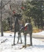  ??  ?? Steven Bennet’s sculpture Two Deer is one of many along Clear Creek Trail.